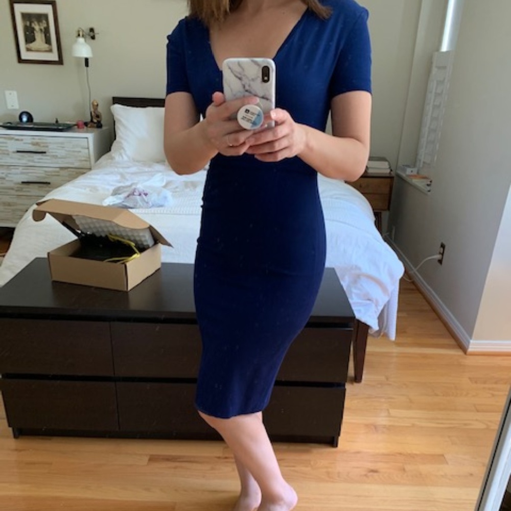 Reiss Fitted Work Dress